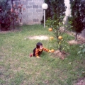 1 year old 4